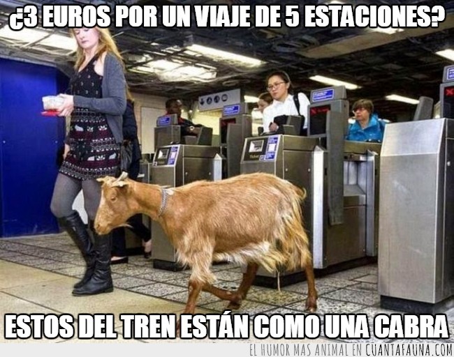 tren,animales,viajar,desorden,sorprender,precio desorbitado,muy caro